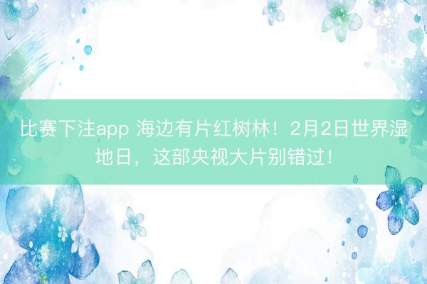 比赛下注app 海边有片红树林!2月2日世界湿地日,这部央视大片别错过!