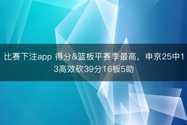 比赛下注app 得分&篮板平赛季最高，申京25中13高效砍39分16板5助