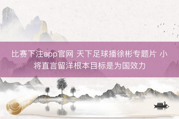 比赛下注app官网 天下足球播徐彬专题片 小将直言留洋根本目标是为国效力