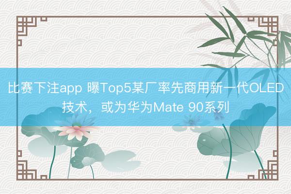 比赛下注app 曝Top5某厂率先商用新一代OLED技术，或为华为Mate 90系列