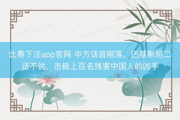 比赛下注app官网 中方话音刚落,巴基斯坦二话不说,击毙上百名残害中国人的凶手