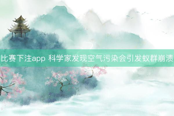比赛下注app 科学家发现空气污染会引发蚁群崩溃