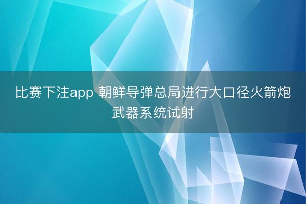 比赛下注app 朝鲜导弹总局进行大口径火箭炮武器系统试射