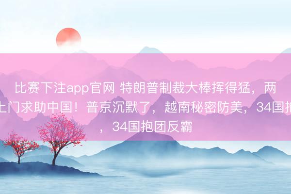比赛下注app官网 特朗普制裁大棒挥得猛，两个友国上门求助中国！普京沉默了，越南秘密防美，34国抱团反霸