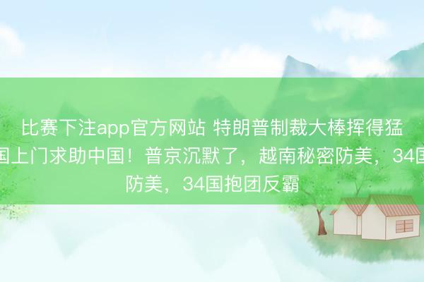 比赛下注app官方网站 特朗普制裁大棒挥得猛，两个友国上门求助中国！普京沉默了，越南秘密防美，34国抱团反霸