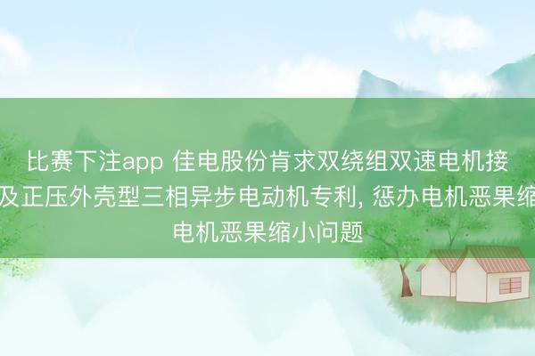 比赛下注app 佳电股份肯求双绕组双速电机接线轮番及正压外壳型三相异步电动机专利, 惩办电机恶果缩小问题