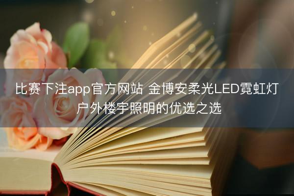 比赛下注app官方网站 金博安柔光LED霓虹灯 户外楼宇照明的优选之选
