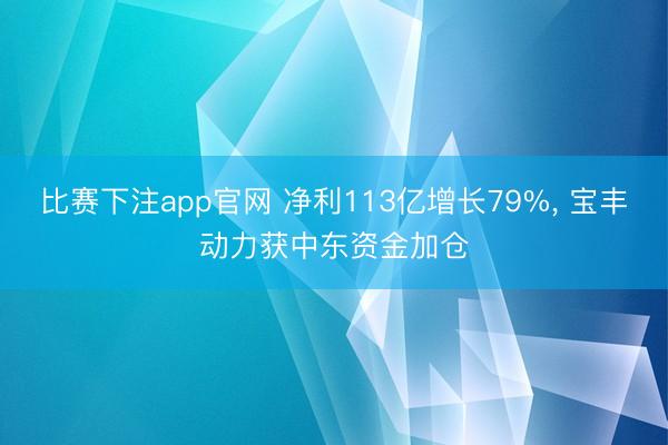比赛下注app官网 净利113亿增长79%， 宝丰动力获中东资金加仓