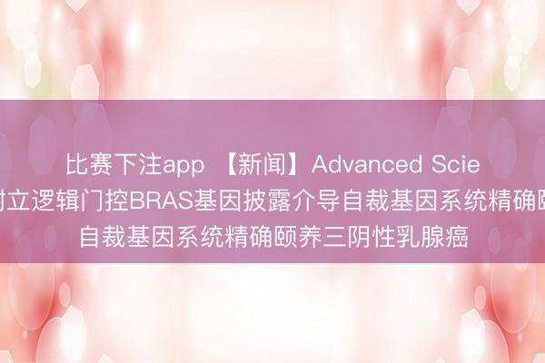 比赛下注app 【新闻】Advanced Science|蔡丰丰团队树立逻辑门控BRAS基因披露介导自裁基因系统精确颐养三阴性乳腺癌