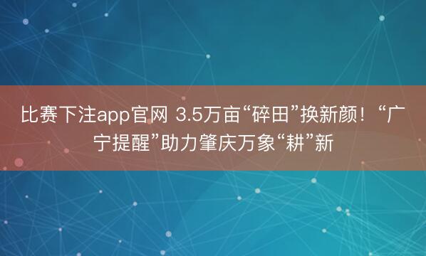比赛下注app官网 3.5万亩“碎田”换新颜！“广宁提醒”助力肇庆万象“耕”新
