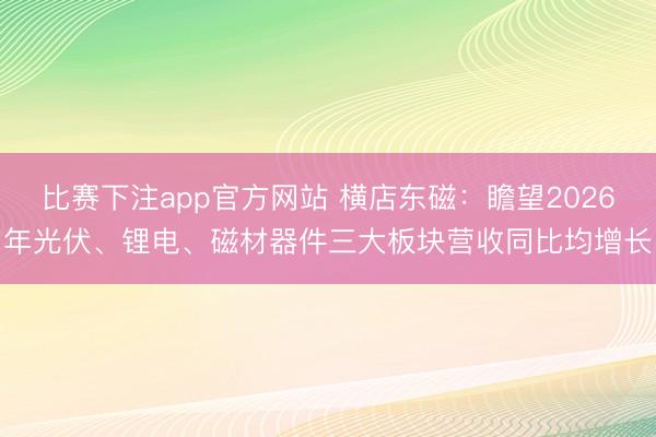 比赛下注app官方网站 横店东磁：瞻望2026年光伏、锂电、磁材器件三大板块营收同比均增长