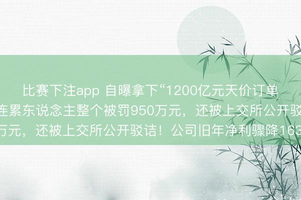 比赛下注app 自曝拿下“1200亿元天价订单”，A股锂电龙头及联系连累东说念主整个被罚950万元，还被上交所公开驳诘！公司旧年净利骤降163%