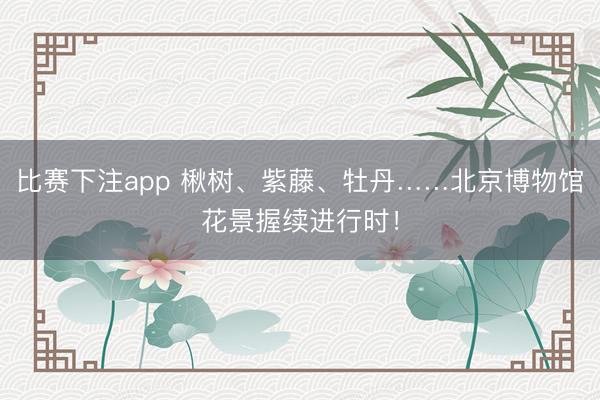 比赛下注app 楸树、紫藤、牡丹……北京博物馆花景握续进行时！