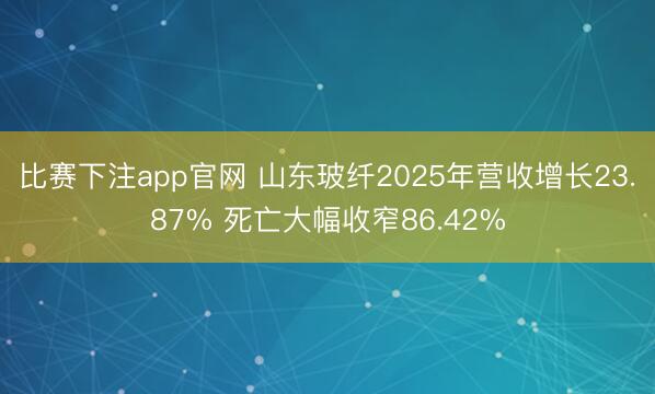 比赛下注app官网 山东玻纤2025年营收增长23.87% 死亡大幅收窄86.42%